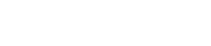 shemlinex logo | web designer
